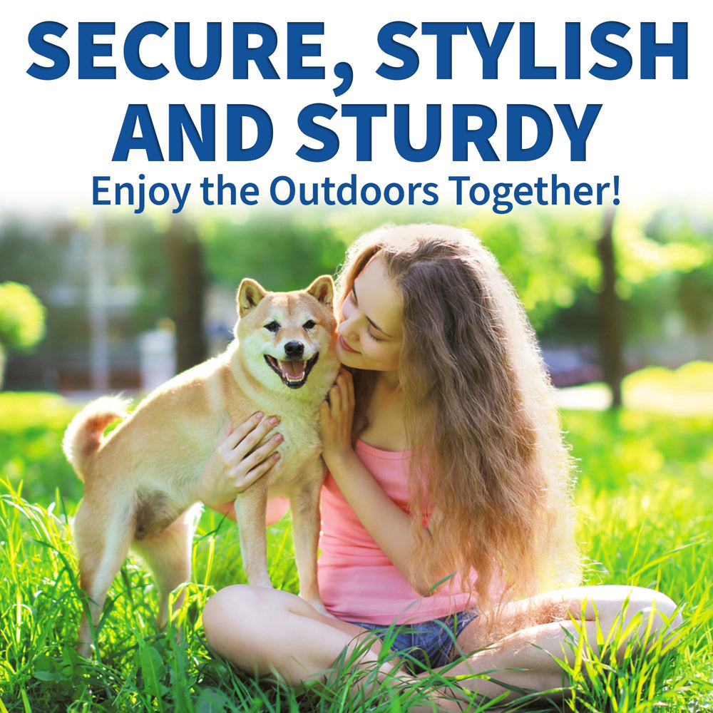 MeasuPro 360 swivel dog lead prevents tangling during play