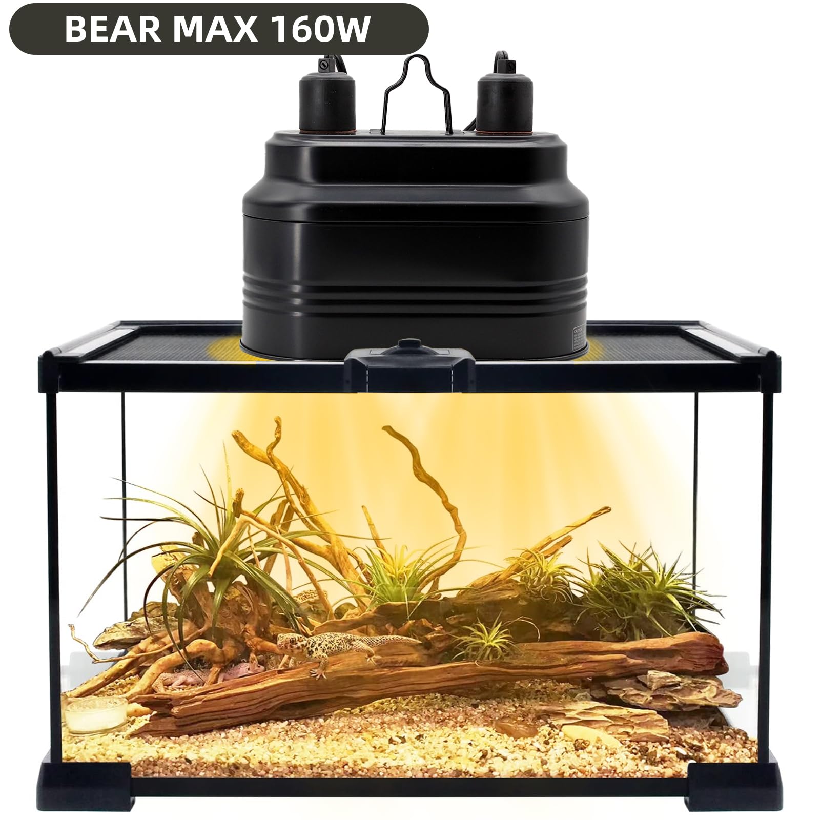 MECESOR dual reptile lamp demonstrates UVB and basking bulb compatibility for varied enclosures