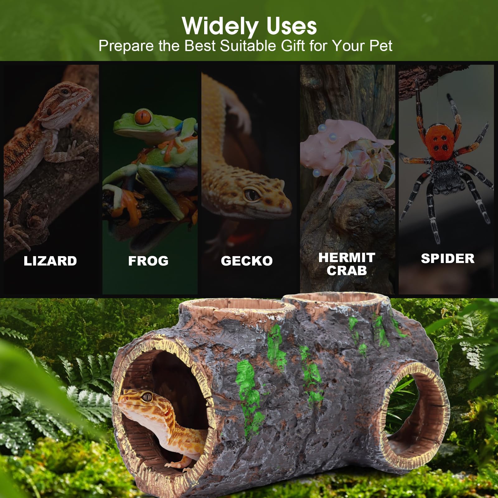 MECESOR non-toxic resin keeps reptile habitats safe during long-term use
