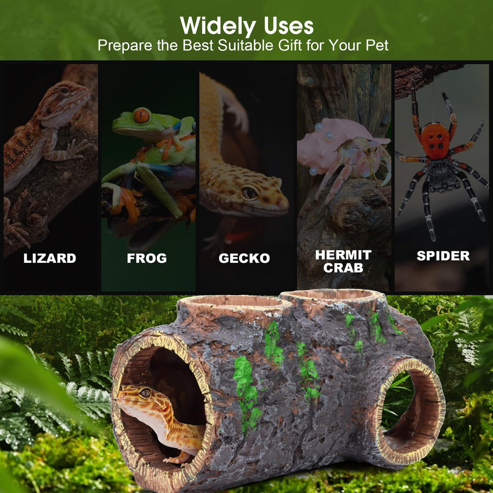 MECESOR non-toxic resin keeps reptile habitats safe during long-term use