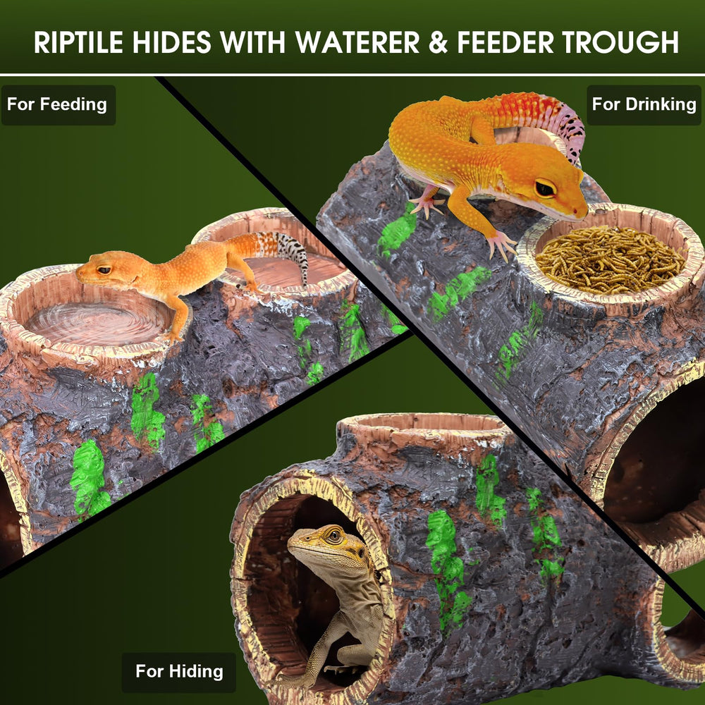 MECESOR tree trunk texture reptile hide blends with natural terrariums