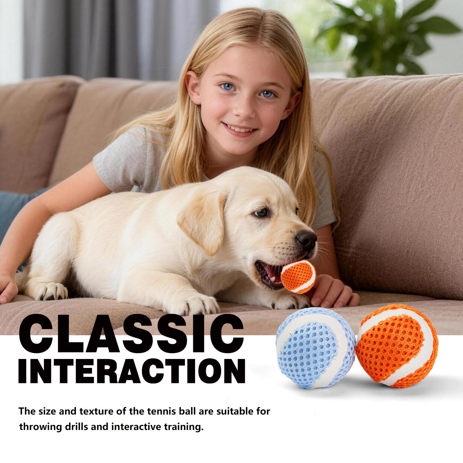 MECOOL 1.57-inch ball size demonstrated for small to medium dogs