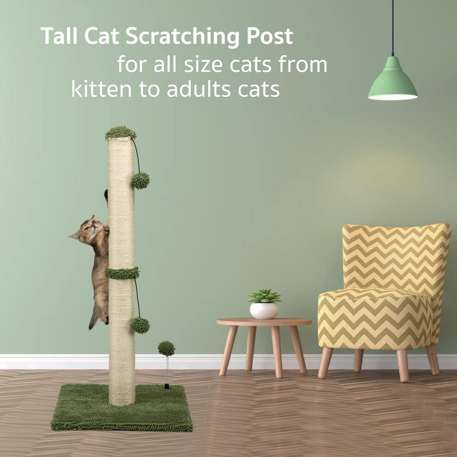 MECOOL cactus green finish blends with home decor.