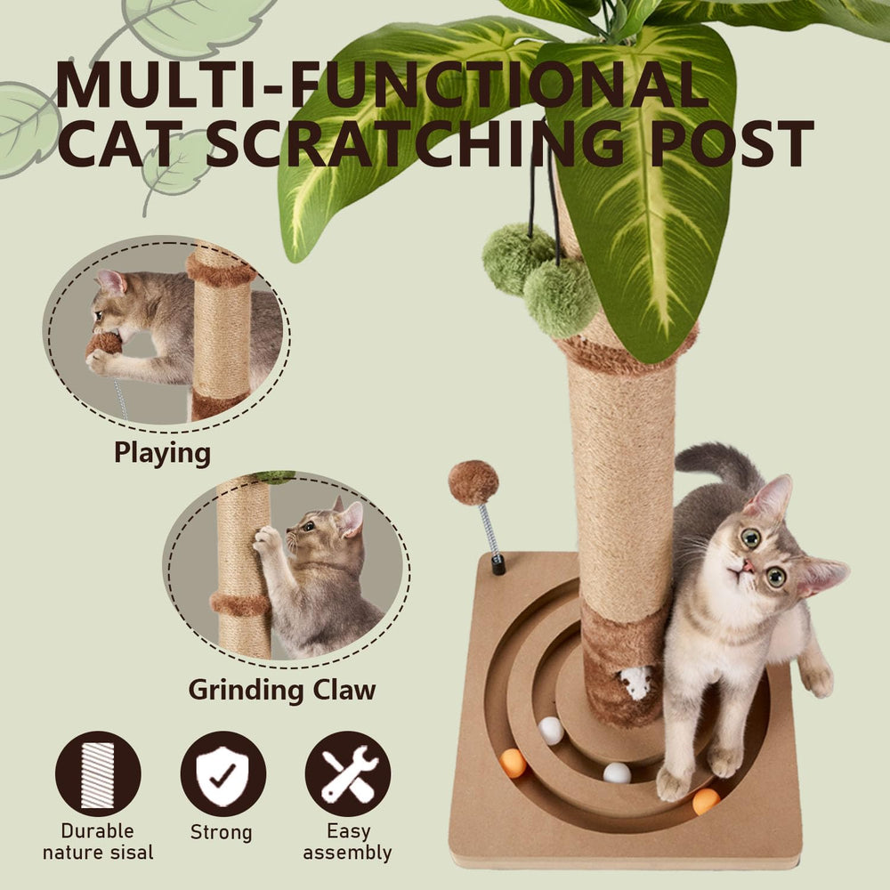 MECOOL hanging ball on top offers interactive stimulation for curious cats