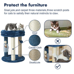 Blue MECOOL bed and post provide lounging and scratching relief
