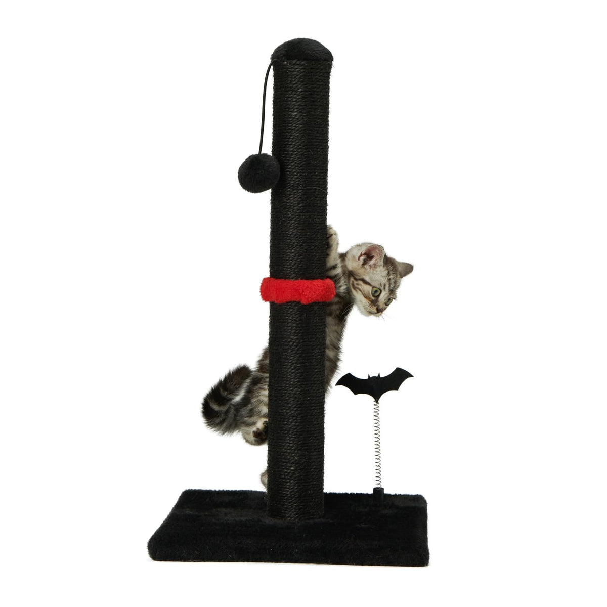 MECOOL cat scratching post vertical design supports healthy scratching and compact indoor use.