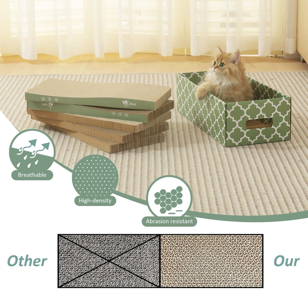 MECOOL Catnip pack enhances interactive playtime.