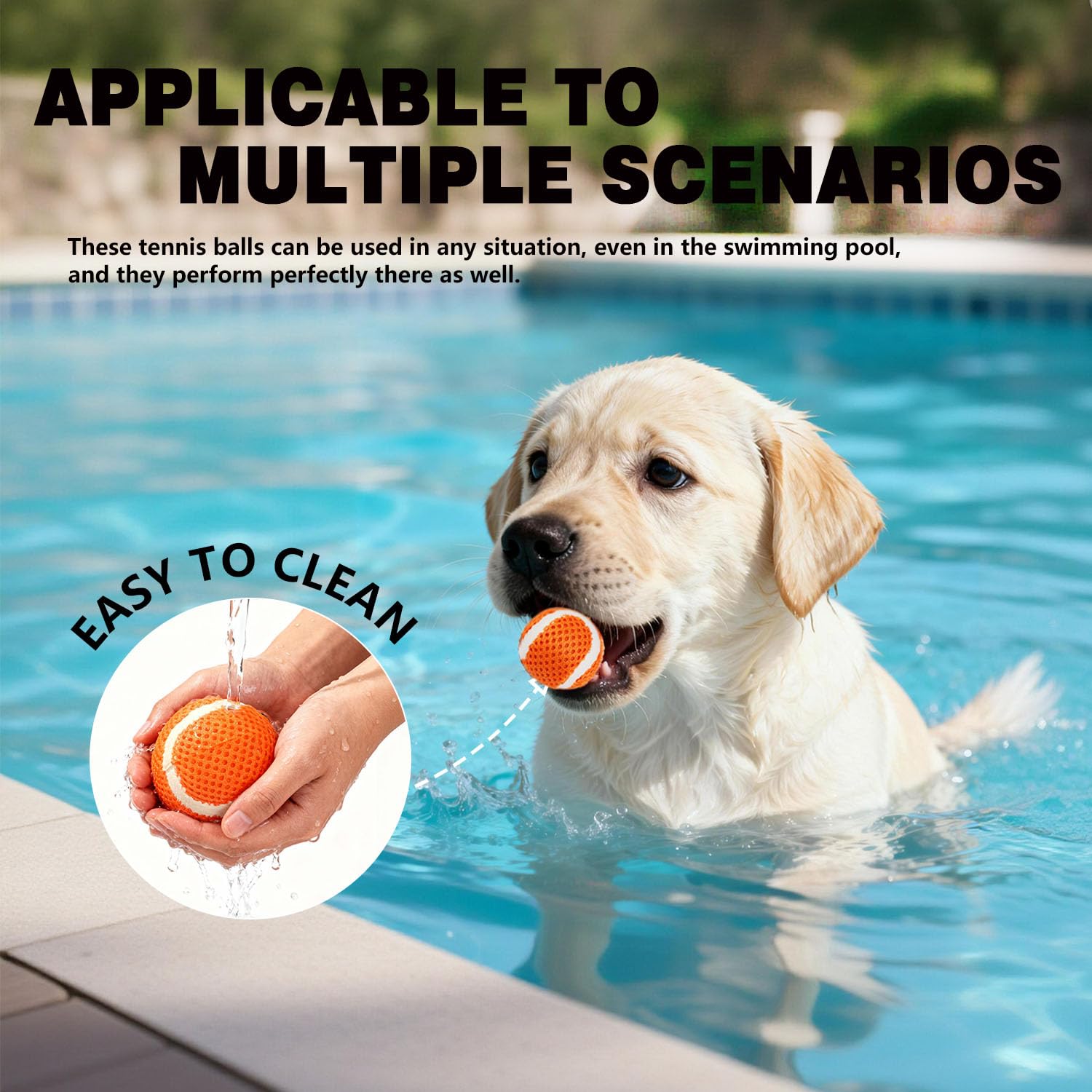 MECOOL dog playing fetch outdoors with bright balls