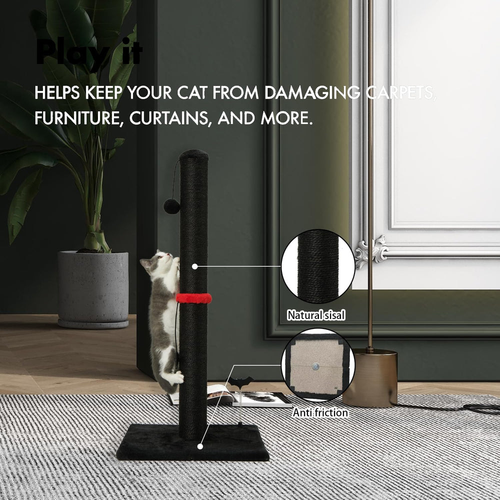 MECOOL hanging ball on vertical scratcher invites dynamic play.