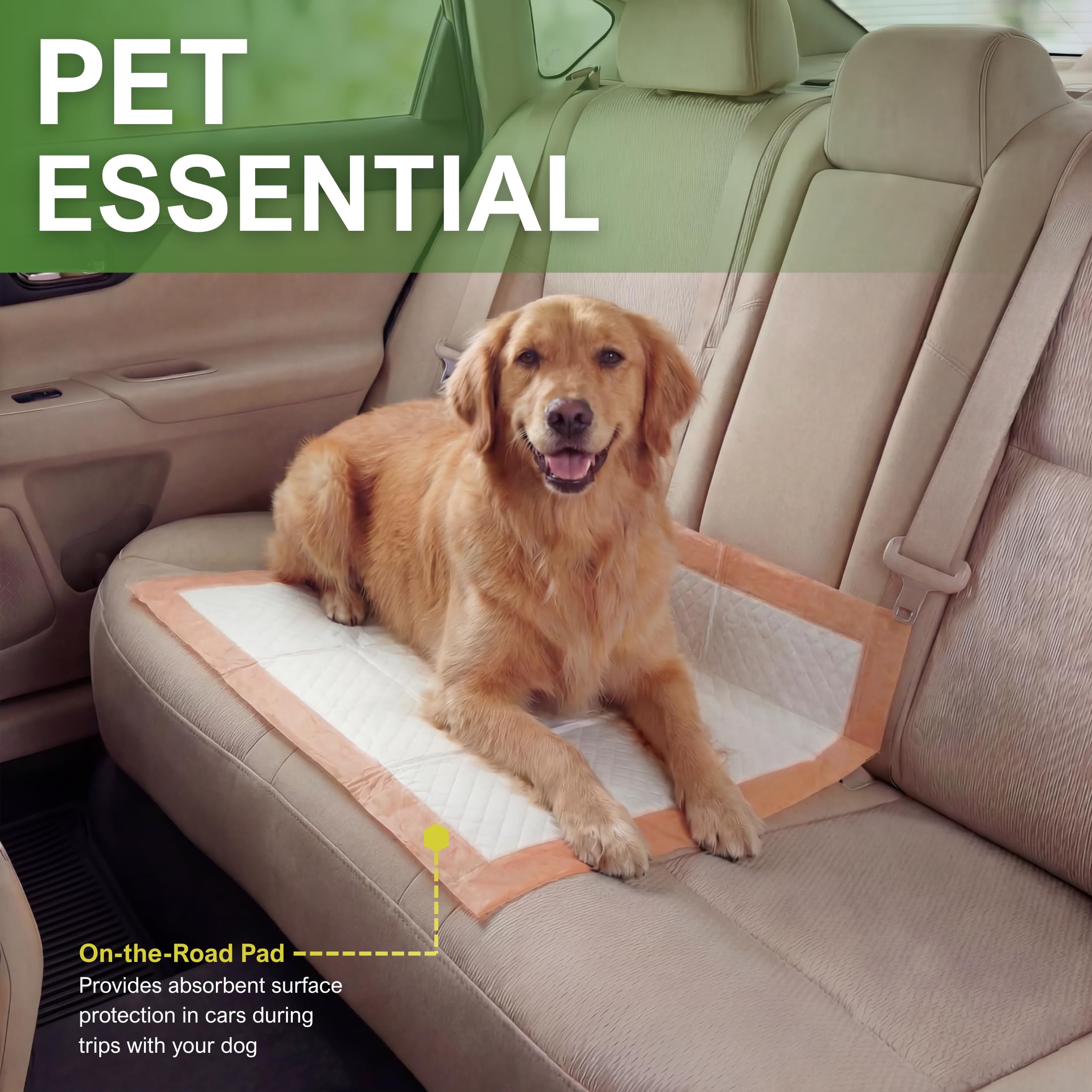 MED PRIDE offers a 100-count value pack for busy homes or multi-pet households.