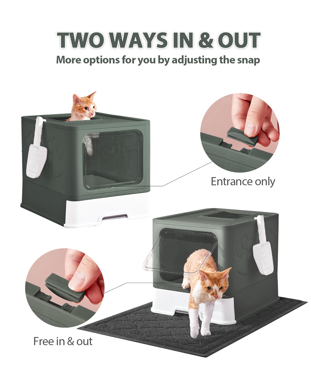 Medario enclosed litter box showing two way entry with privacy and odor control