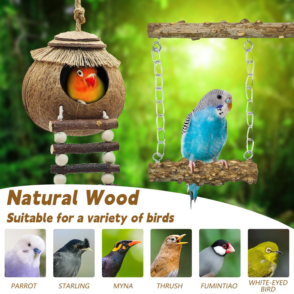 MEDHAW round platform perch provides a stable rest for Budgies