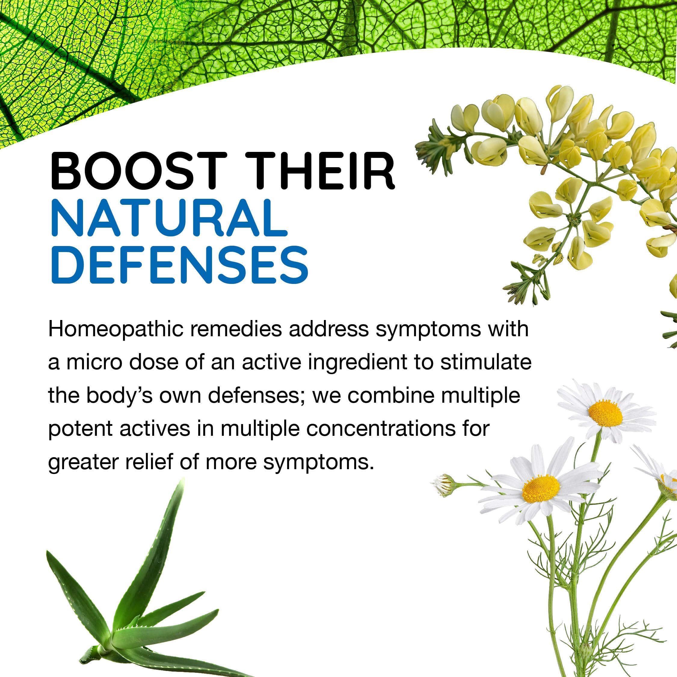 MediNatura T-Relief ingredients highlight plant-based actives for GI balance.
