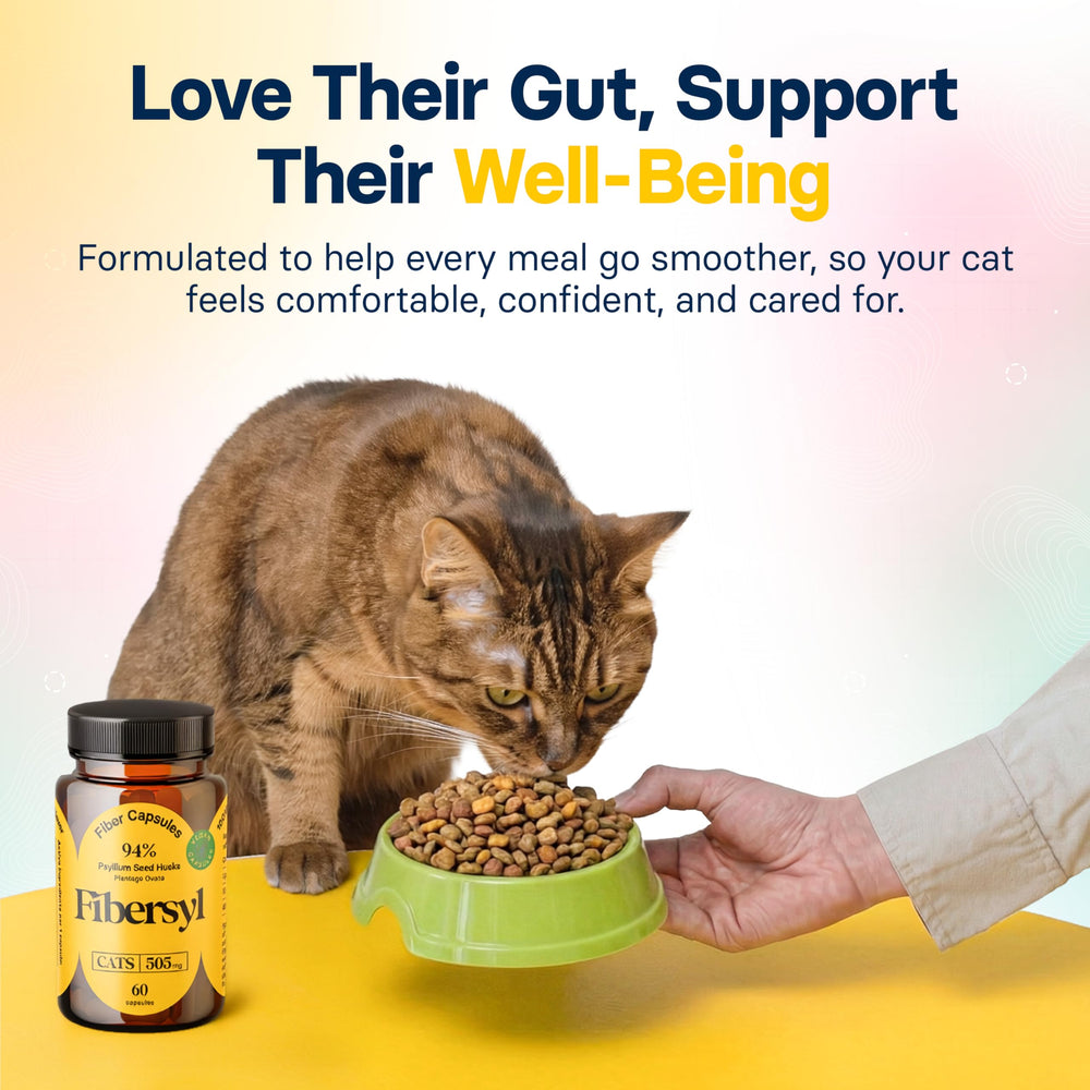 Medsmehappy FiberSyl cat meal with fiber supporting portion control