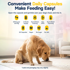 Medsmehappy FiberSyl dog capsules closeup highlighting convenient fiber for gut balance