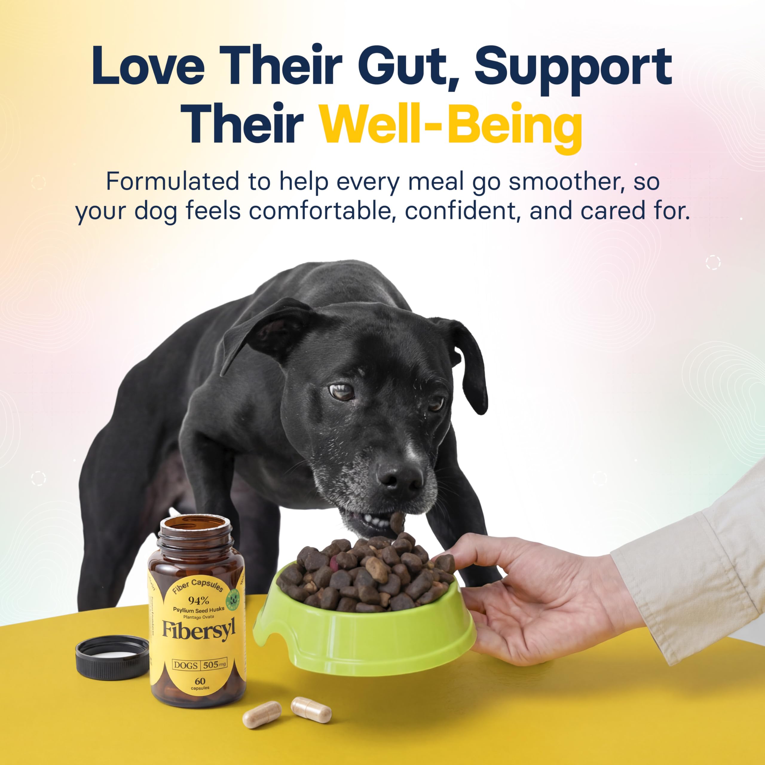 Medsmehappy FiberSyl dog digestive process scene suggests smoother stools