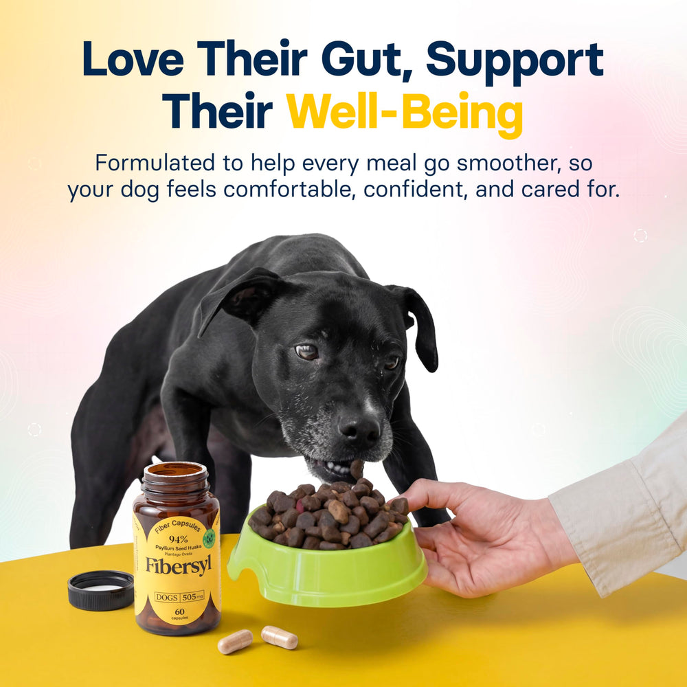 Medsmehappy FiberSyl dog digestive process scene suggests smoother stools