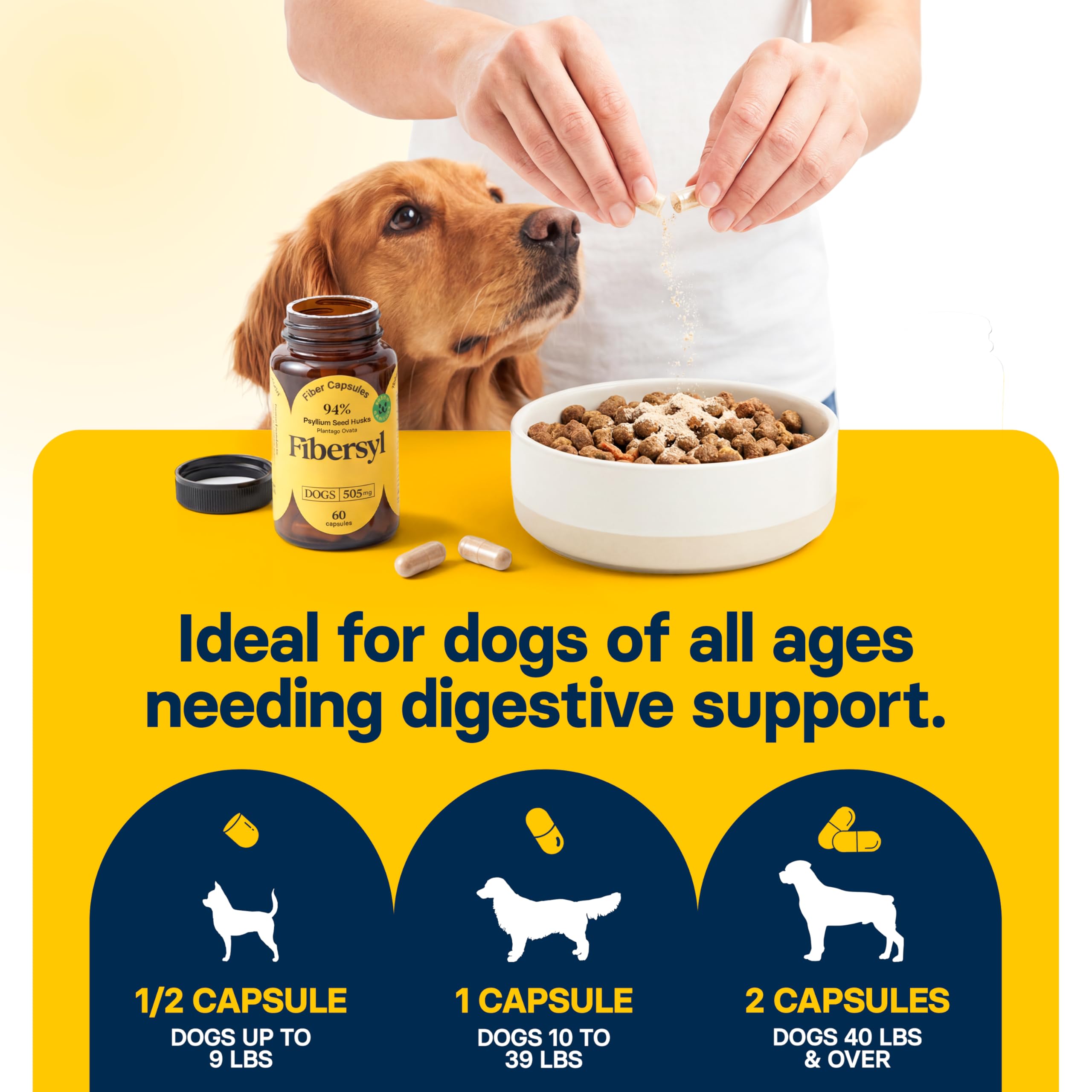 Medsmehappy FiberSyl powder texture reveals wholesome plant fiber for digestion support