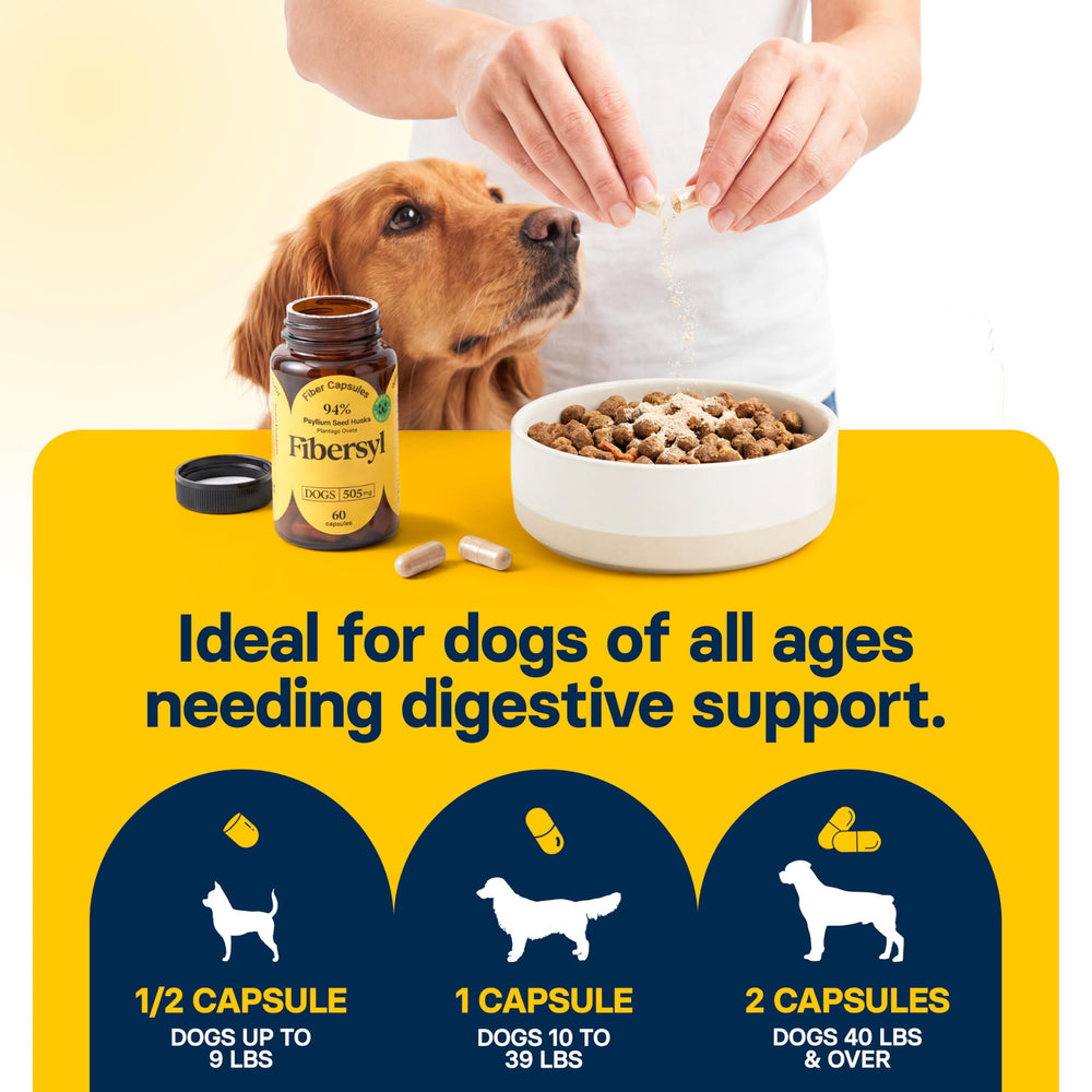 Medsmehappy FiberSyl powder texture reveals wholesome plant fiber for digestion support