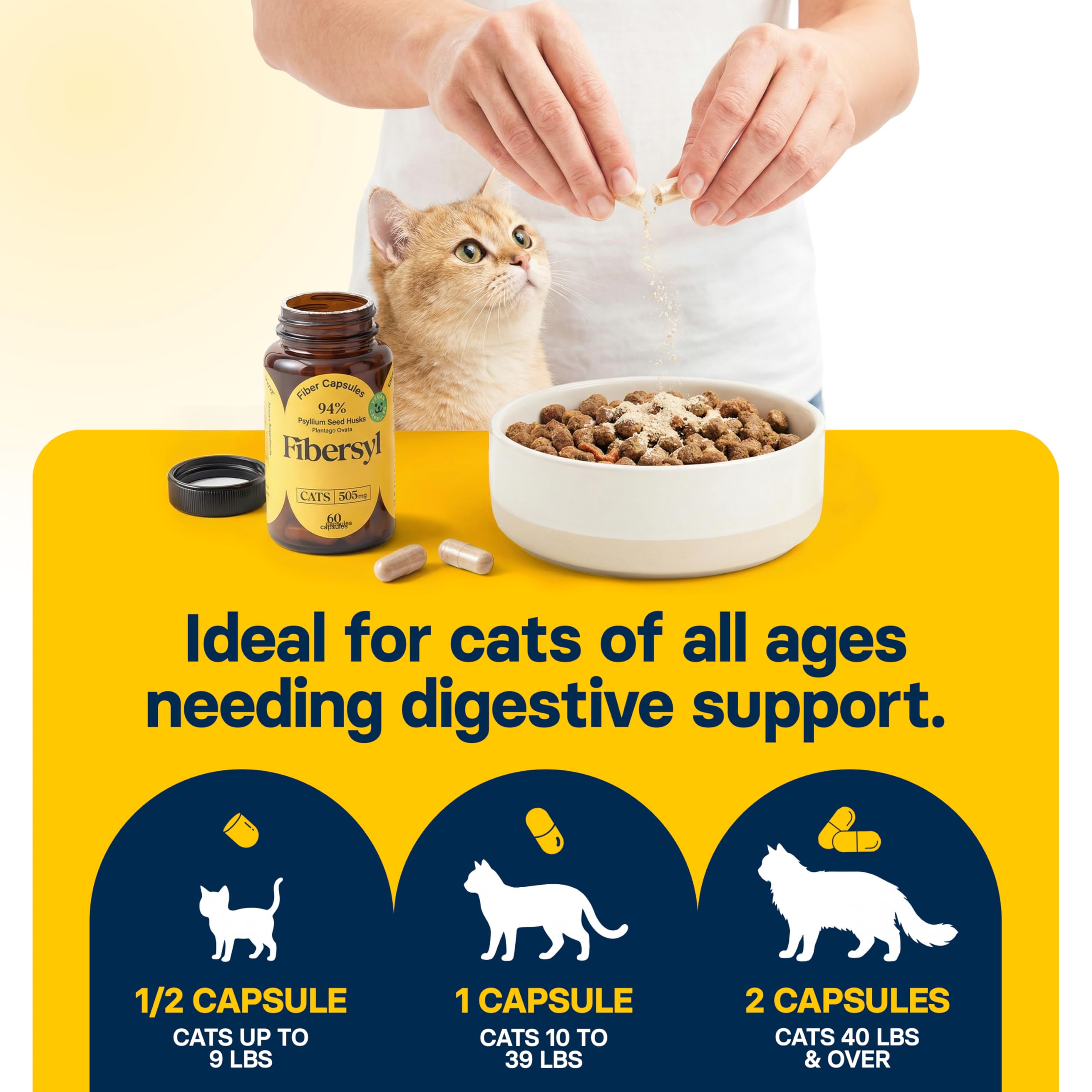 Medsmehappy FiberSyl stool diagram illustrating firmer stools for cats