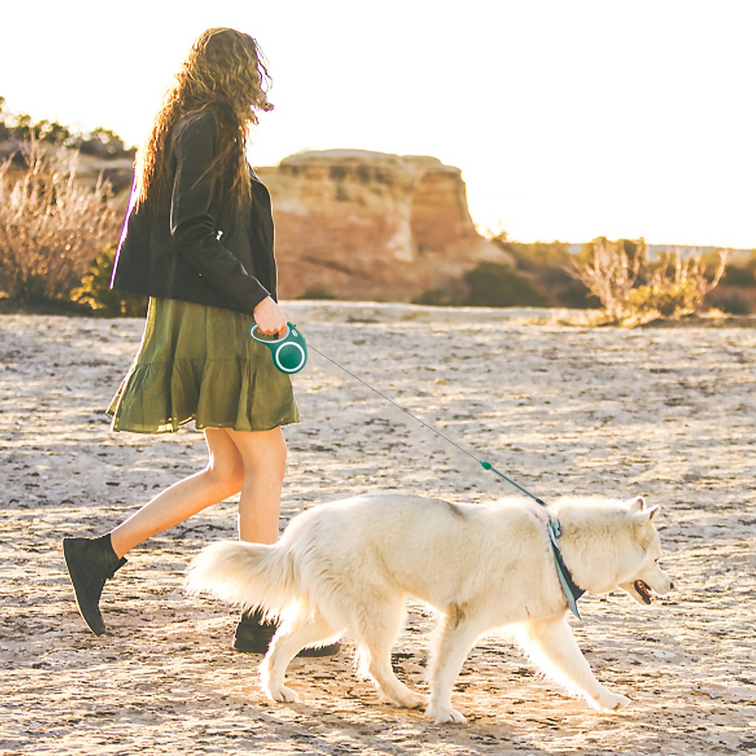 Meekamar retractable leash in use outdoors shows tangle-free movement