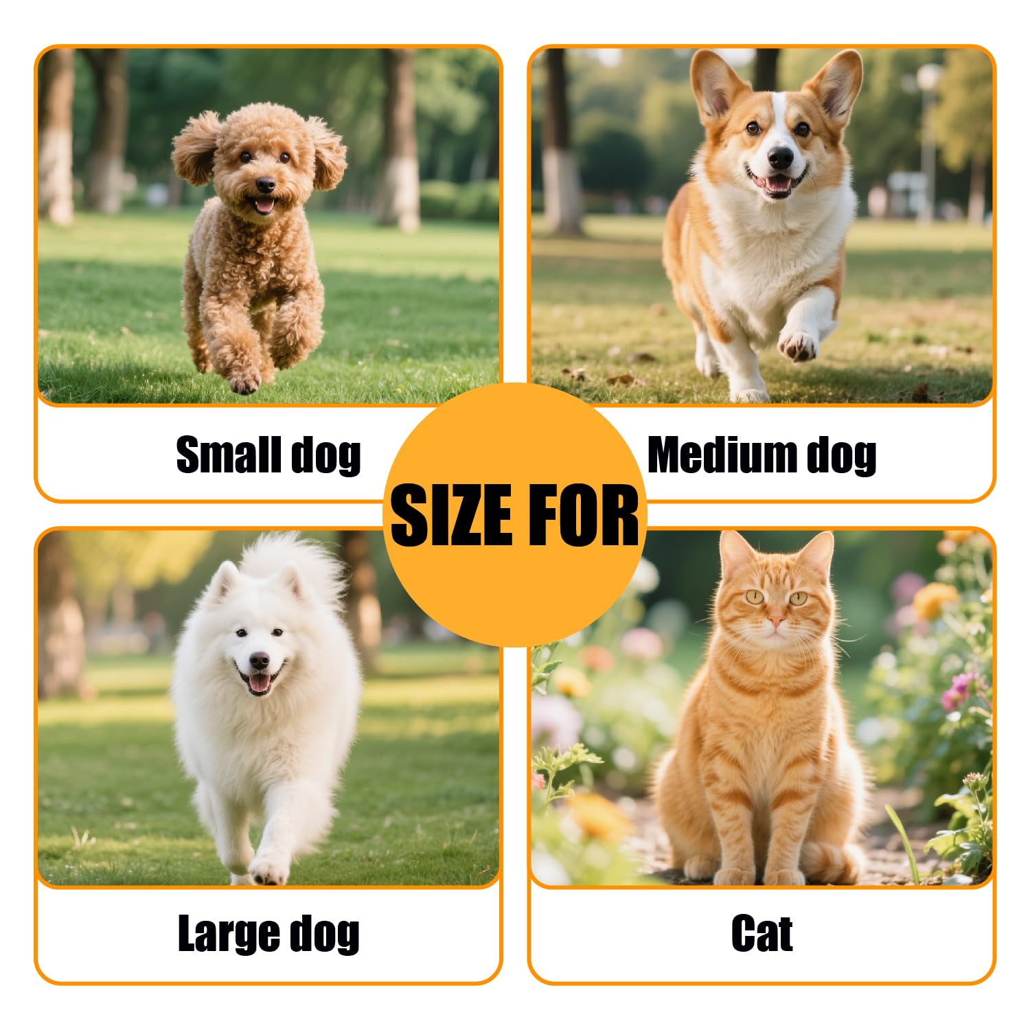 Meekamar heavy-duty leash suitable for medium to large dogs outdoors.