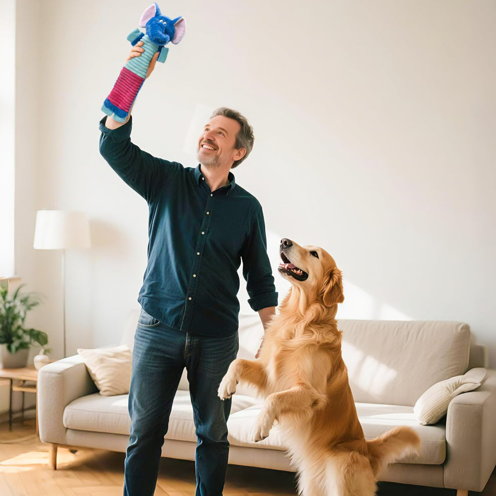 MeetYooo five-pack no stuffing dog squeaky toys bundle for safe, mess-free play