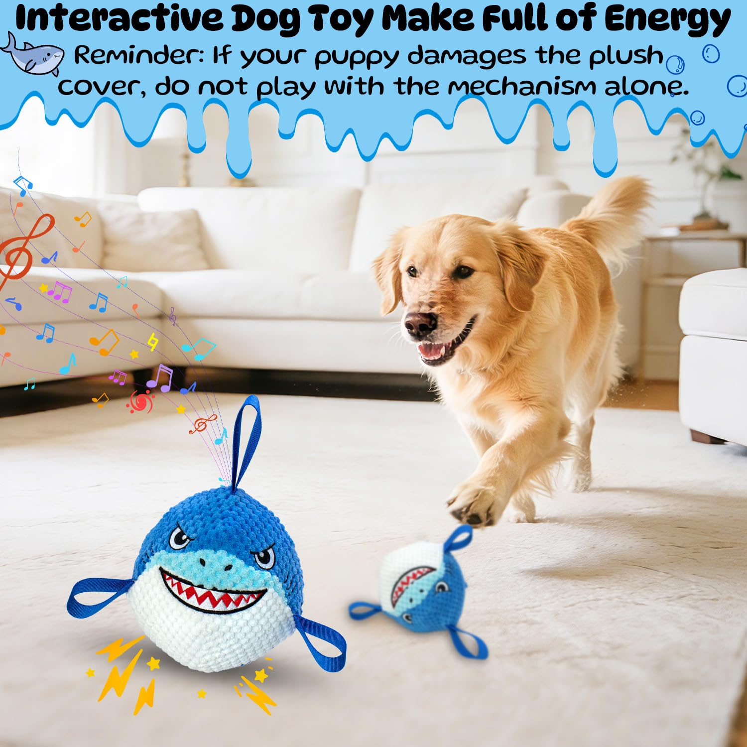 MeetYooo indoor-outdoor play setup for versatile home use
