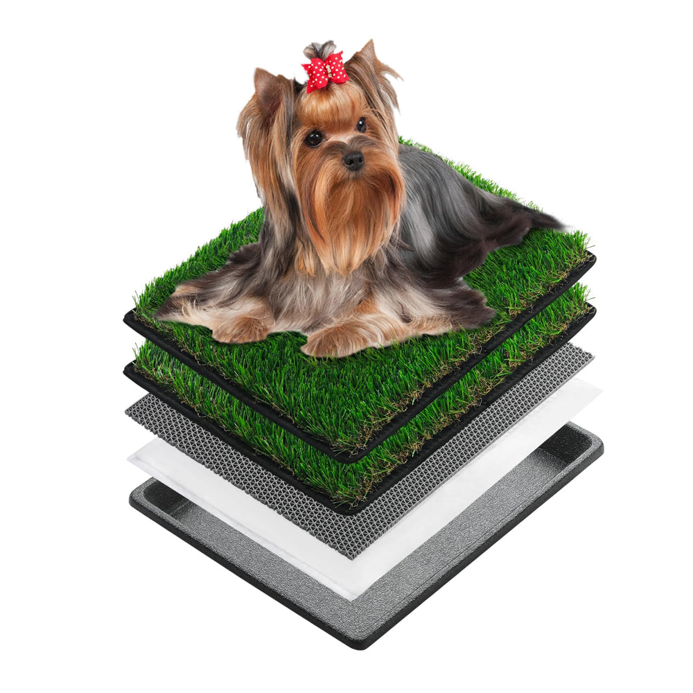 MEEXPAWS dog grass potty tray top view shows compact litter box for small breeds.