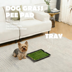 MEEXPAWS 4-layer grass system highlighted for easy separation and cleaning.
