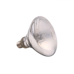 Mega-Ray reptile bulb enhances colors and appetite in terrarium