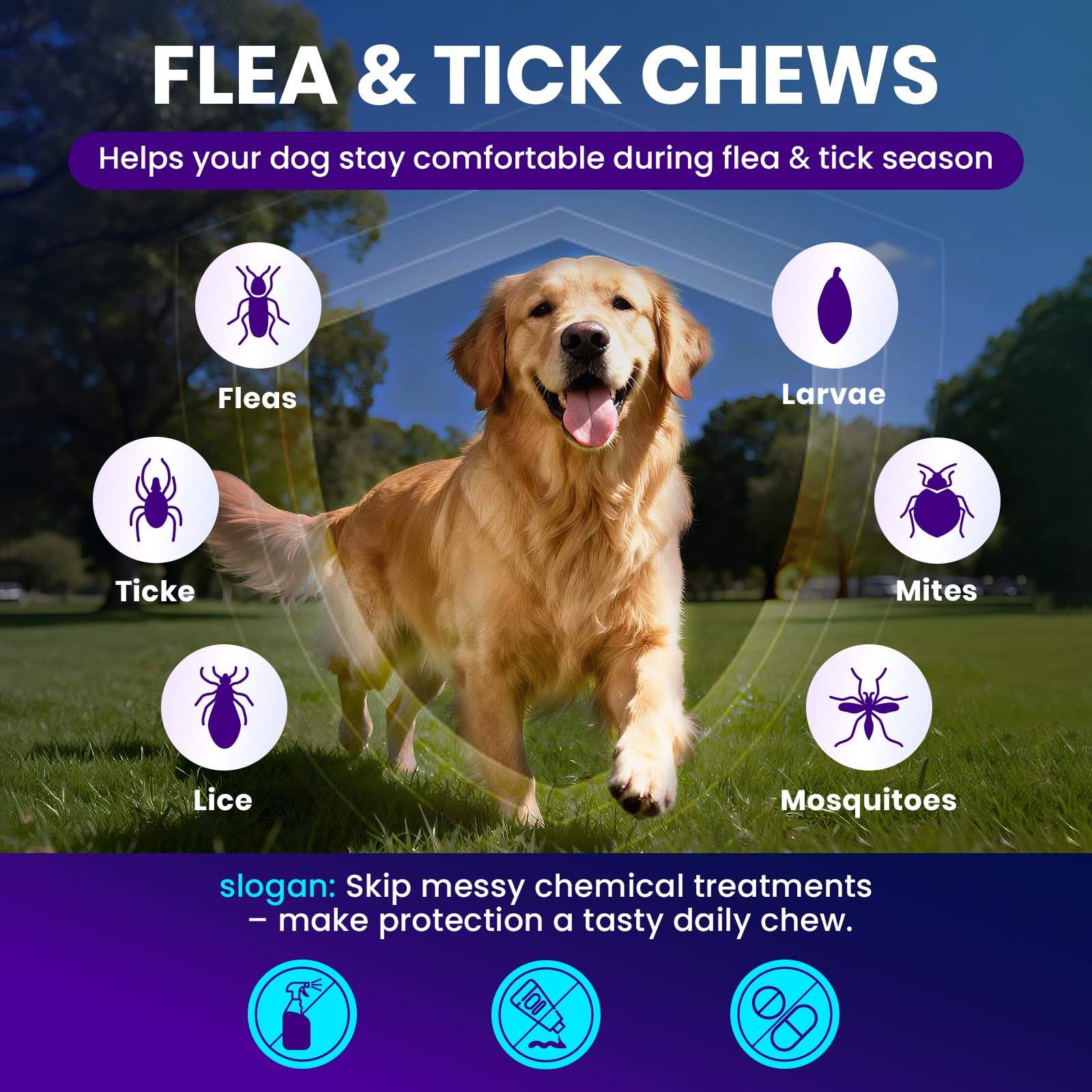 MEGPETS NUTRITION chicken-flavor dog treat demonstrates appetizing daily option.