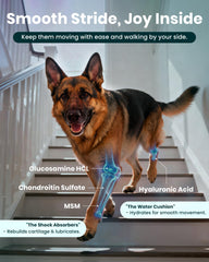 MEGPETS NUTRITION NAD+ glucosamine formula panel showcases joint support ingredients.