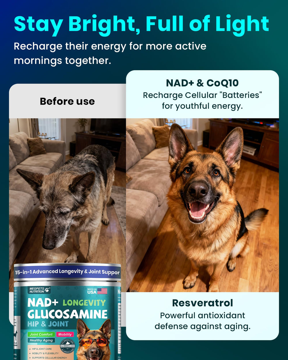MEGPETS NUTRITION NAD+ panel highlights MSM and chondroitin for mobility.