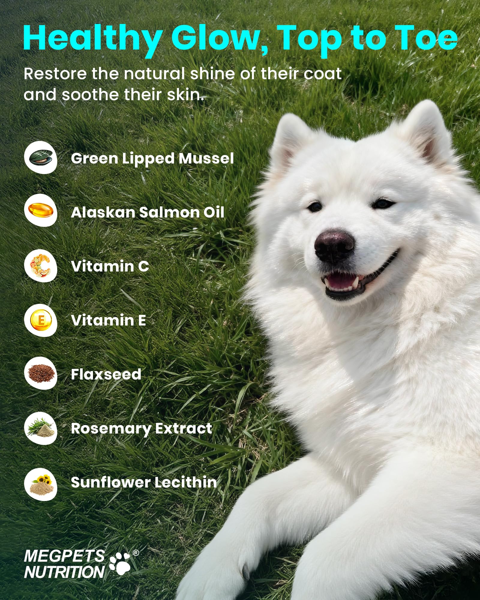 MEGPETS NUTRITION NAD+ salmon oil coating image supports healthy coat.