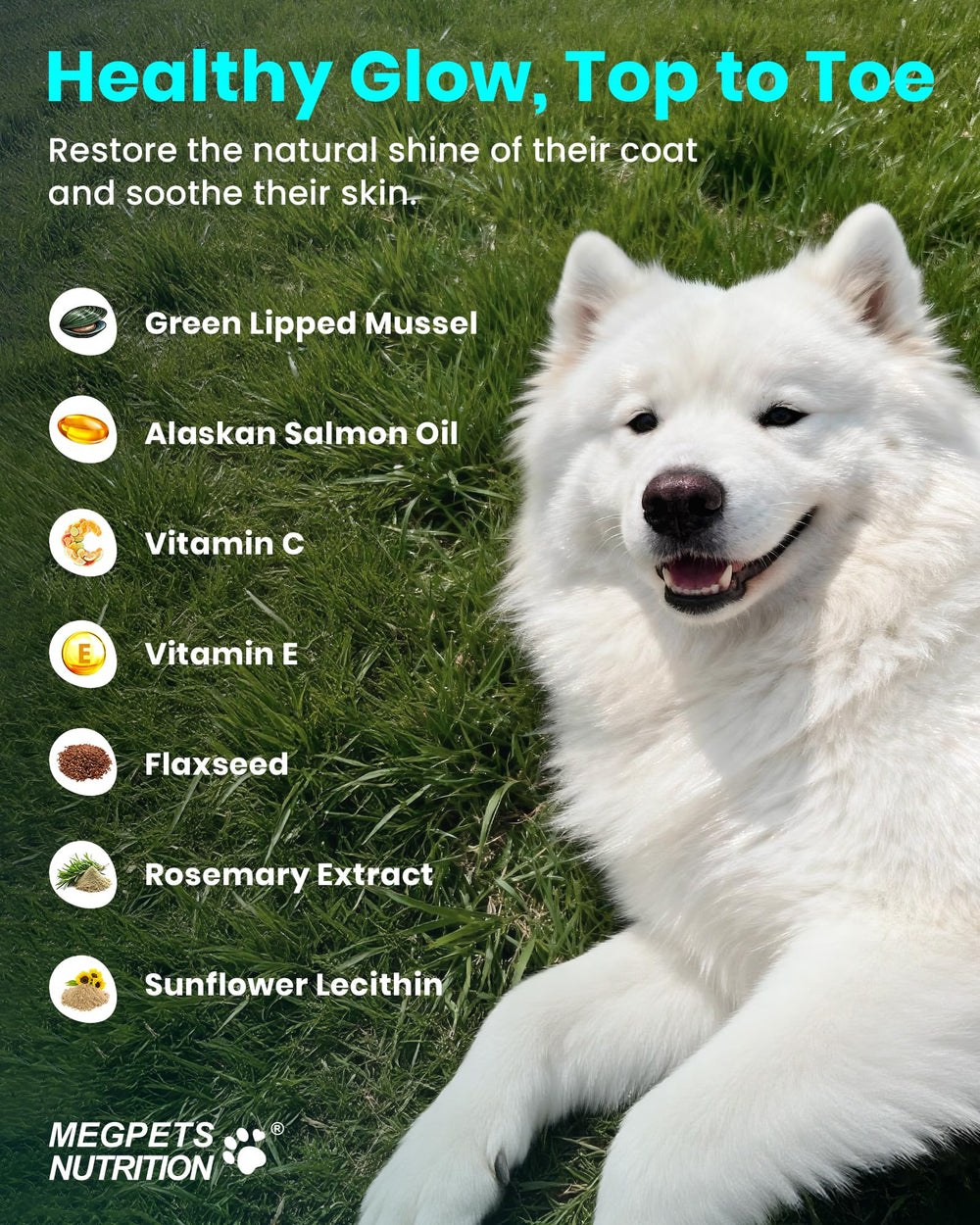 MEGPETS NUTRITION NAD+ salmon oil coating image supports healthy coat.