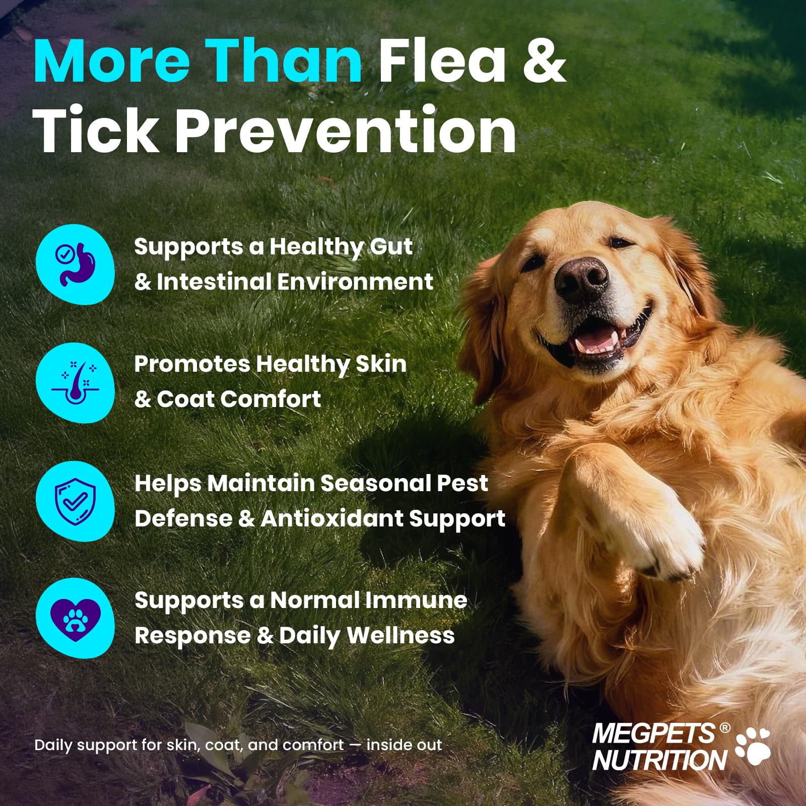 MEGPETS NUTRITION skin-coat-support ingredients highlight moisturizing blend for skin comfort.