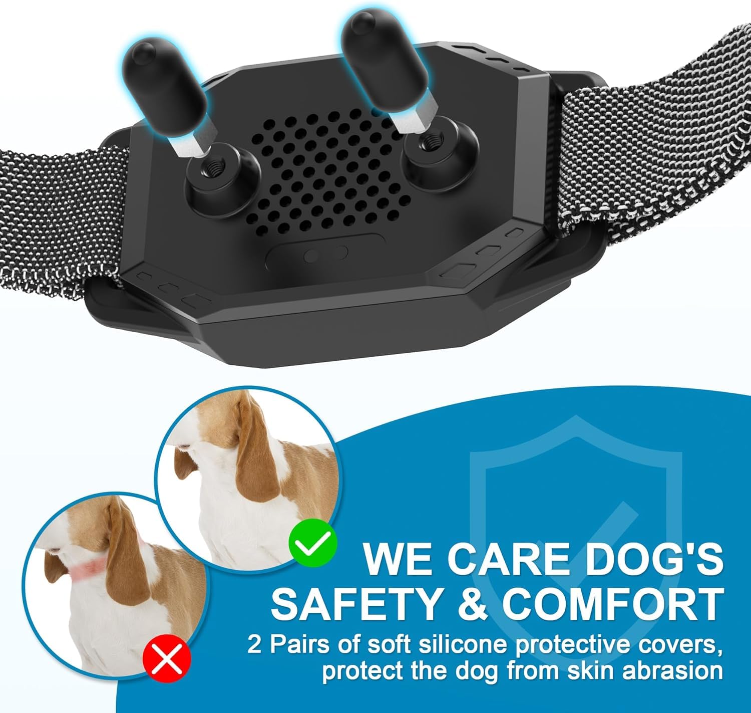 MEGWR dog-friendly training outdoors to boost behavior humanely.