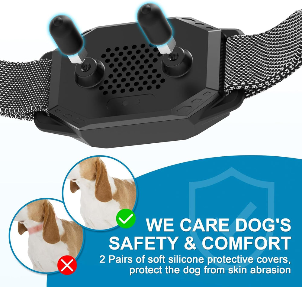 MEGWR dog-friendly training outdoors to boost behavior humanely.