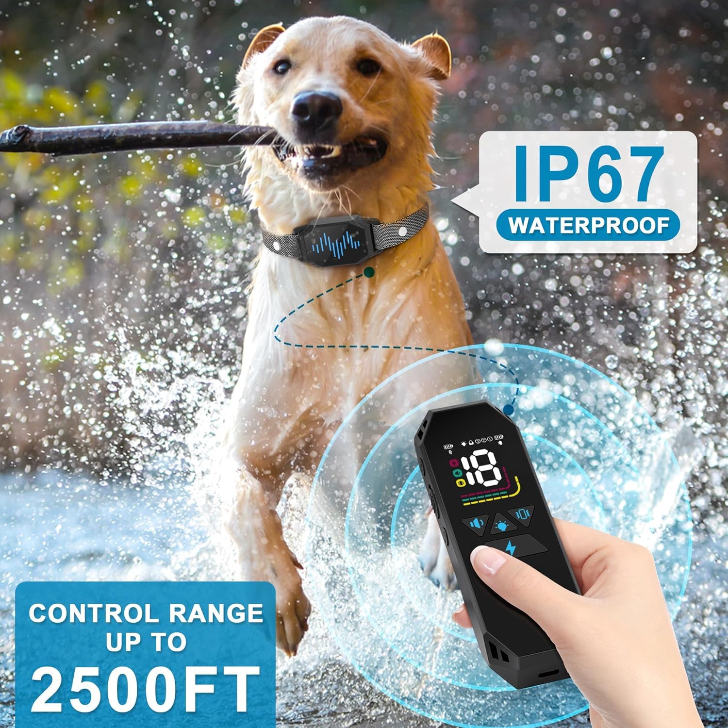 MEGWR e-collar waterproof in action during rain or pool play.