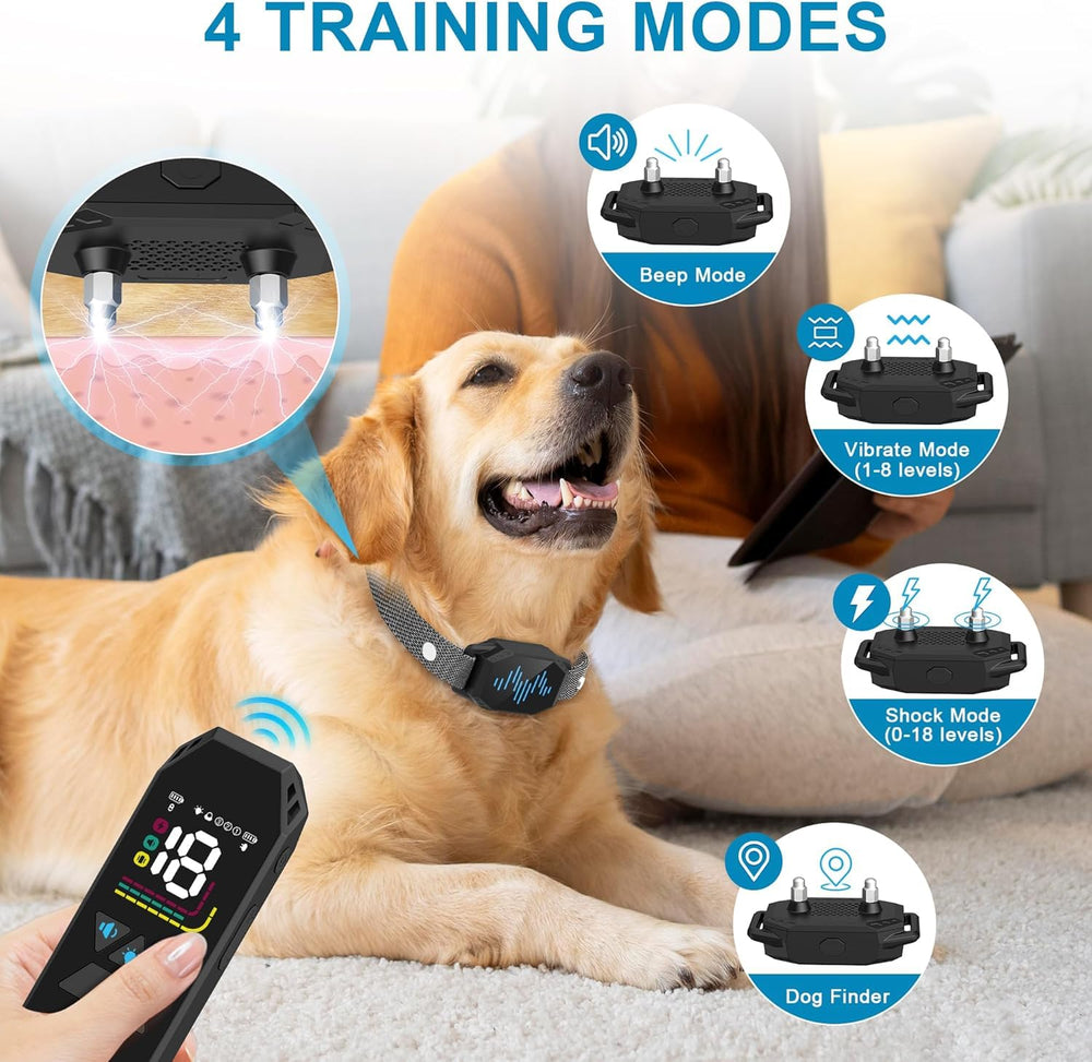 MEGWR remote-control setup demonstrating multi-channel training for three dogs.