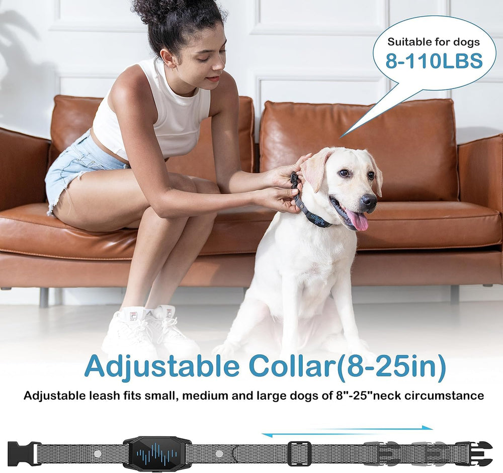 MEGWR three-channel system for training multiple dogs.