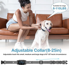 MEGWR three-channel system for training multiple dogs.