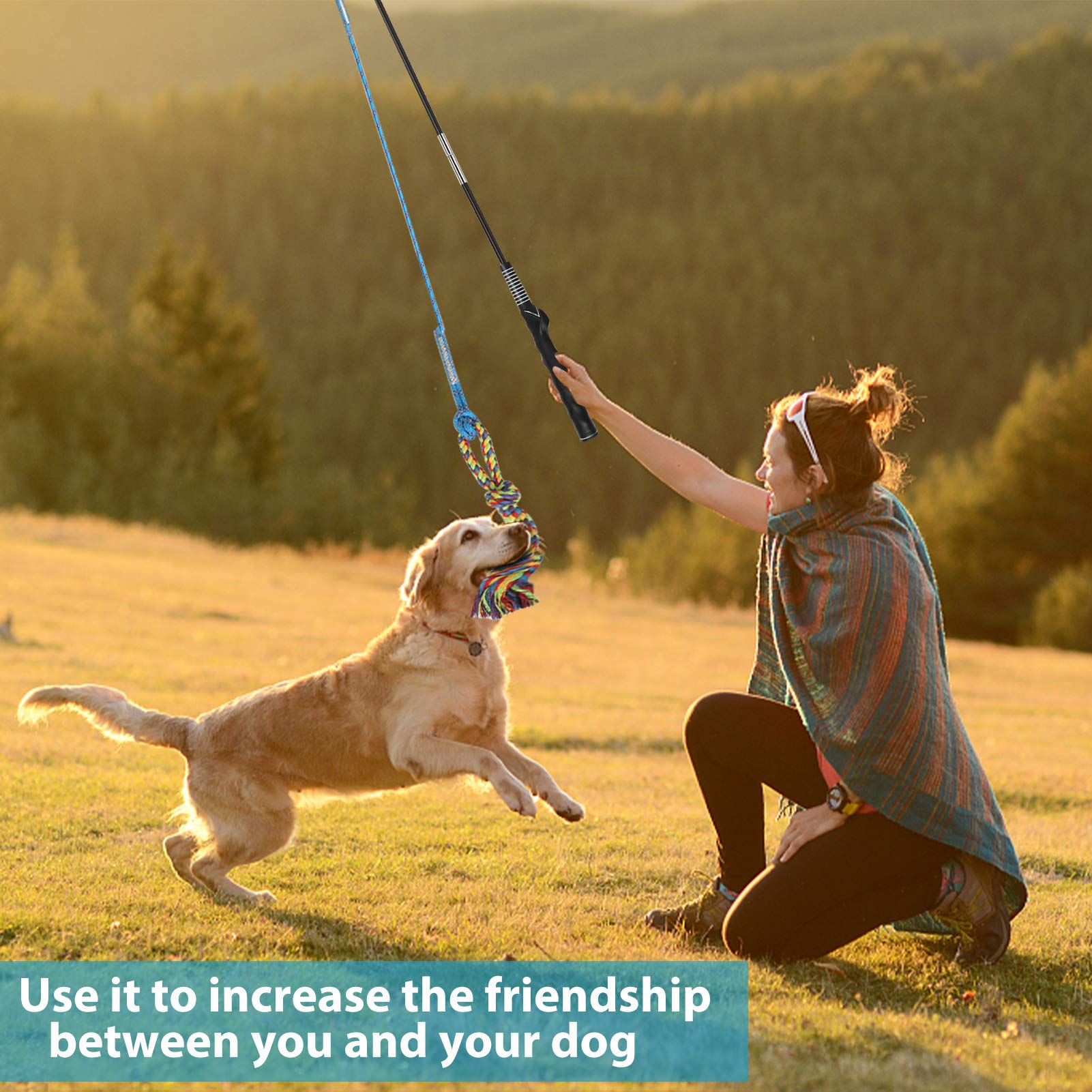 Meieke Flirt Pole shows durable 304 stainless steel rod for lasting play.