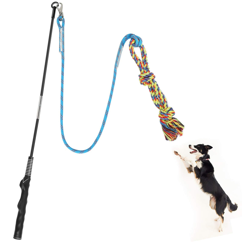 Meieke Flirt Pole dog teaser wand in action outdoors, boosting play and bonding.