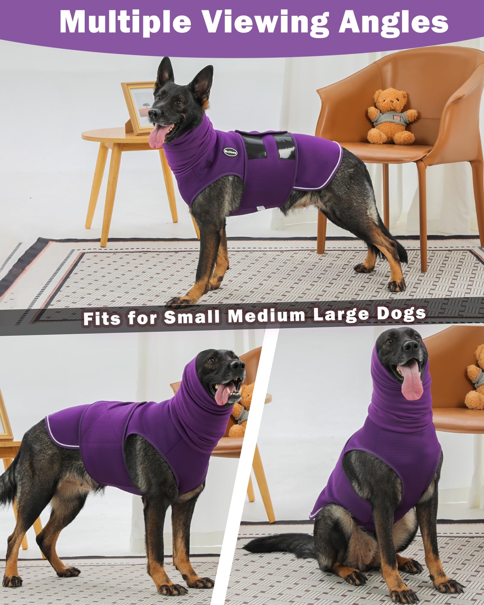 Meifsou dog anxiety vest in purple worn during a walk for stress reduction