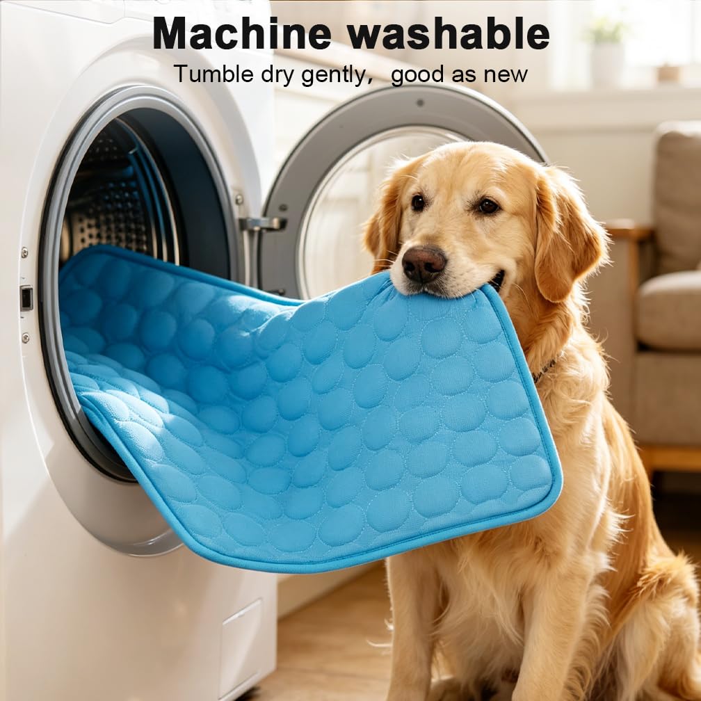 MeiLiMiYu Arc-Chill mat outdoors for camping and shade.