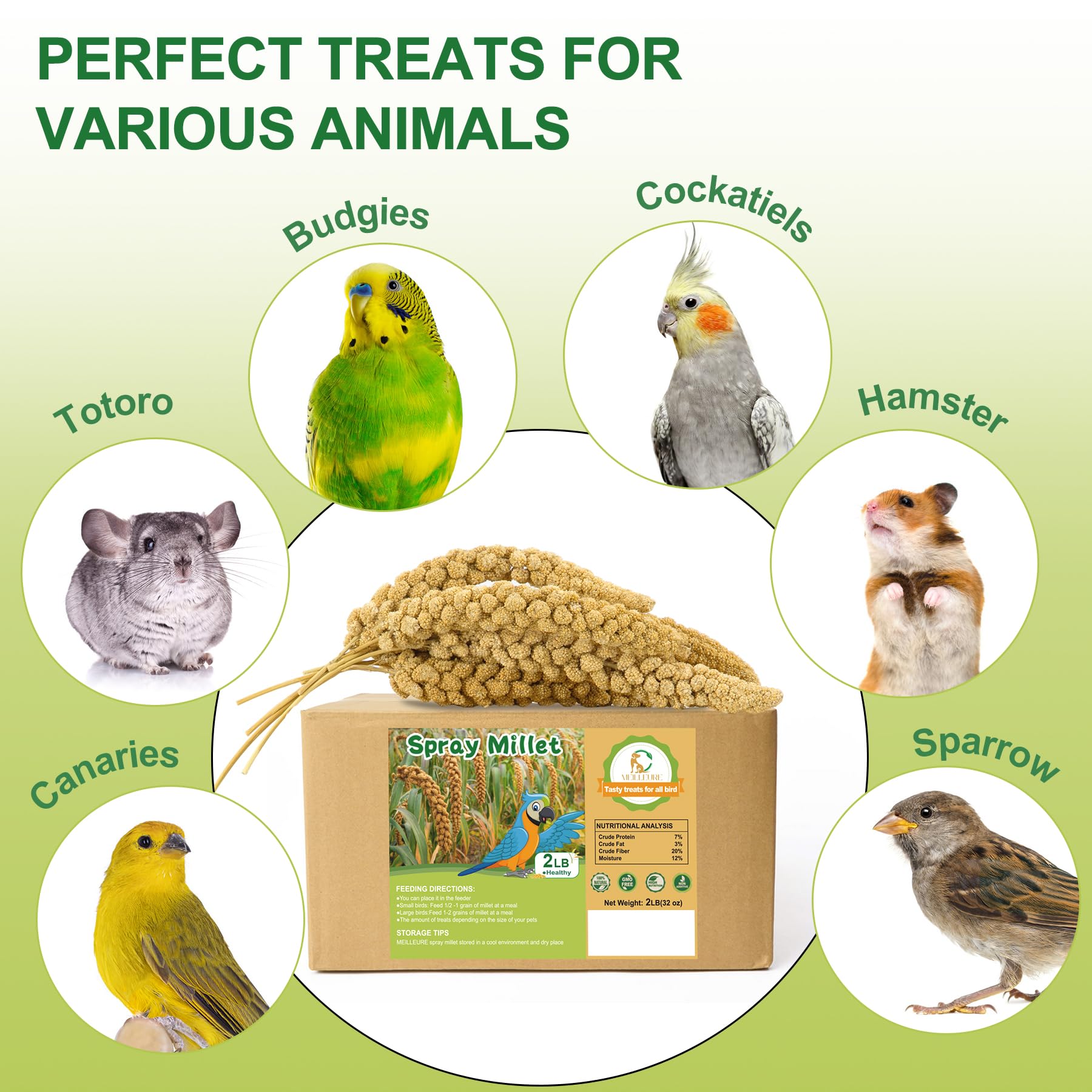MEILLEURE-bulk-millet-seed-bird-food serves as a versatile staple for mixed flocks.