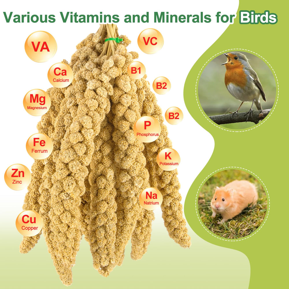 MEILLEURE-foraging-enrichment-bird-cage invites exploration and activity.