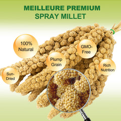 MEILLEURE natural-sun-dried-millet-spray highlights premium nutrition for birds.